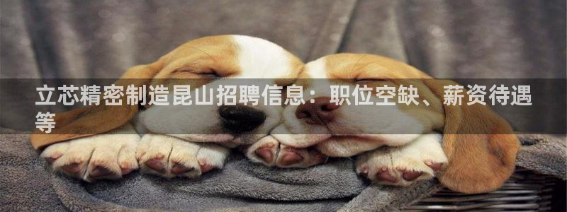 彩神v8下载：立芯精密制造昆山招聘信息：职位空缺、薪资待遇
等