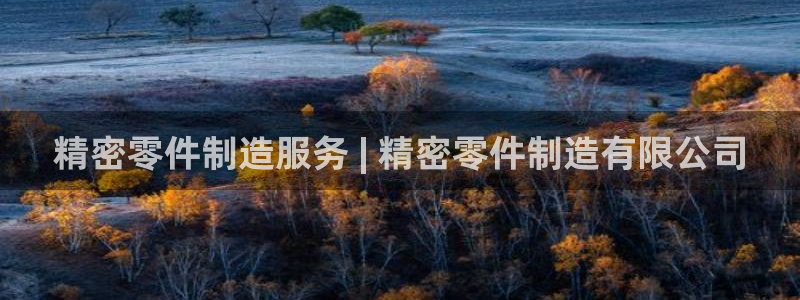 彩神大发是不是人为操作：精密零件制造服务 | 精密零件制造有限公司