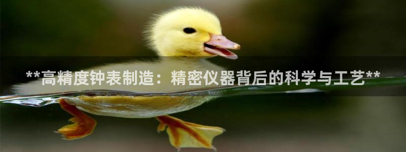 彩神vlll官网网上购彩：**高精度钟表制造：精密仪器背后的科学与工艺**