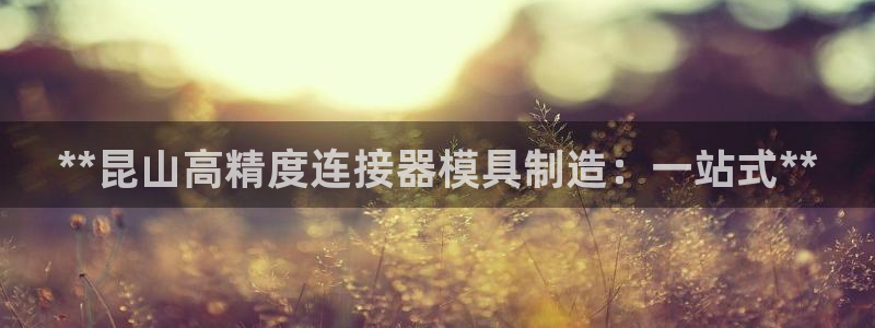 彩神购彩-购彩大厅入口：**昆山高精度连接器模具制造：一站式**