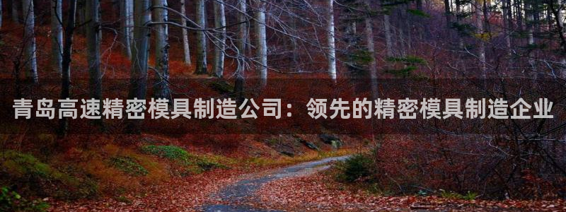 彩神团队是真的吗：青岛高速精密模具制造公司：领先的精密模具制造企业