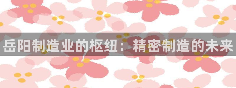 彩神官方邀请码是多少：岳阳制造业的枢纽：精密制造的未来