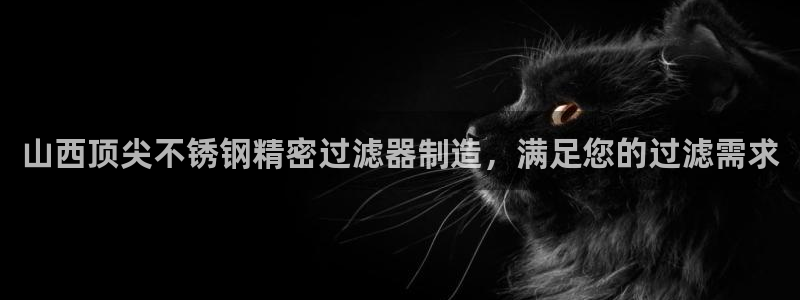 彩神是什么平台：山西顶尖不锈钢精密过滤器制造，满足您的过滤需求