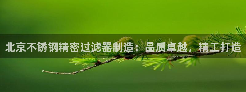 彩神网官网登录：北京不锈钢精密过滤器制造：品质卓越，精工打造