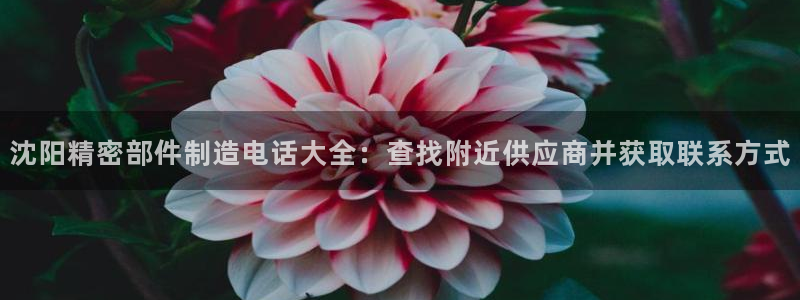 彩神赢钱了吗知乎：沈阳精密部件制造电话大全：查找附近供应商并获取联系方式