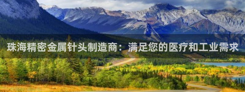 大发彩神争：珠海精密金属针头制造商：满足您的医疗和工业需求