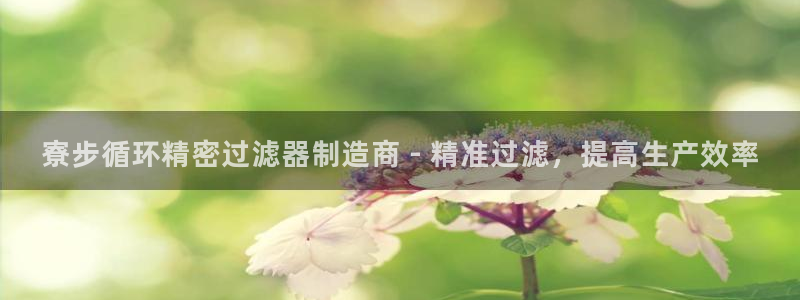 下载彩神通关注码：寮步循环精密过滤器制造商 - 精准过滤，提高生产效率