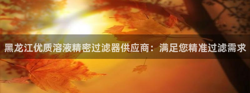 彩神v争霸有限公司：黑龙江优质溶液精密过滤器供应商：满足您精准过滤需求