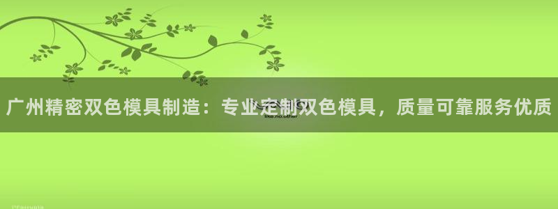 彩神8购彩-购彩大厅：广州精密双色模具制造：专业定制双色模具，质量可靠服务优质