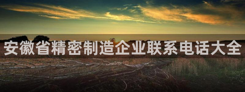 彩神ios下载：安徽省精密制造企业联系电话大全