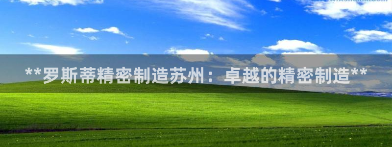 彩神v8是真的挣钱吗知乎：**罗斯蒂精密制造苏州：卓越的精密制造**
