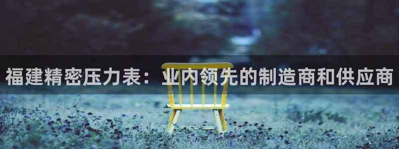 彩神V3大赢家：福建精密压力表：业内领先的制造商和供应商