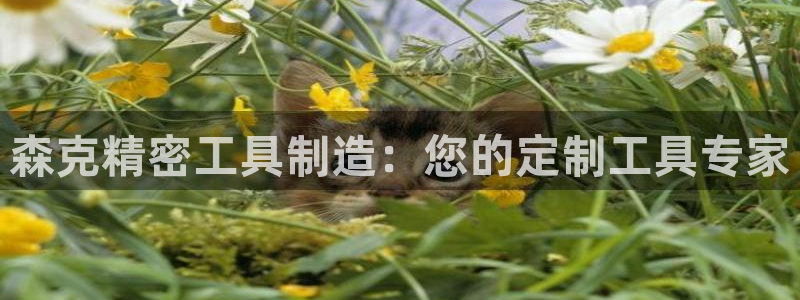 彩神购彩-购彩大厅入口500：森克精密工具制造：您的定制工具专家