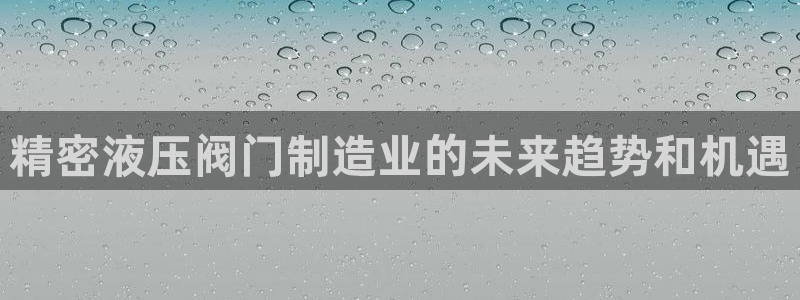 彩神购彩-购彩大厅入口500：精密液压阀门制造业的未来趋势和机遇