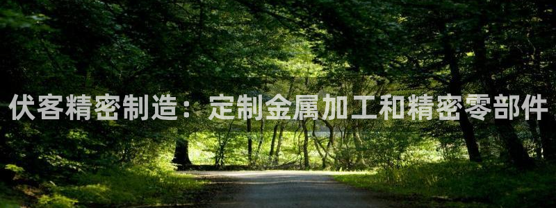彩神vlll官网网上购彩：伏客精密制造：定制金属加工和精密零部件