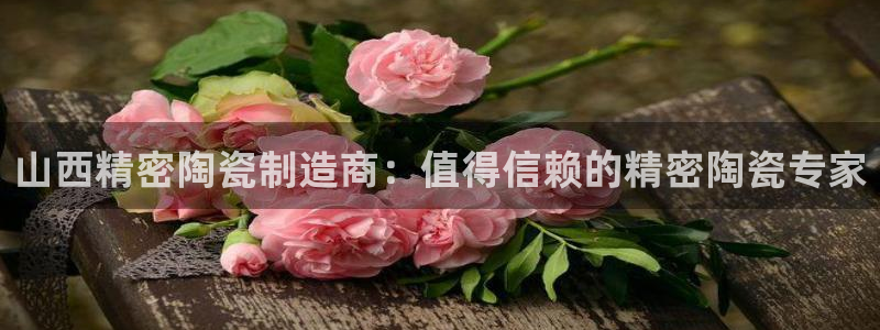 彩神Vll购彩大厅：山西精密陶瓷制造商：值得信赖的精密陶瓷专家