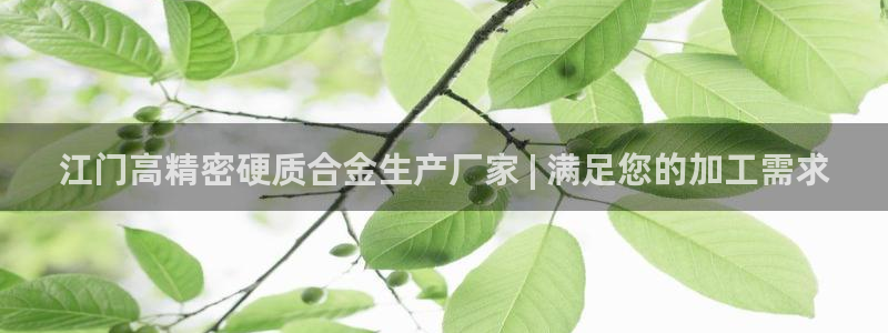 彩神8官网合法吗：江门高精密硬质合金生产厂家 | 满足您的加工需求