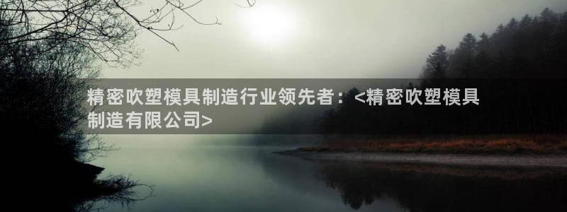 彩神趣购彩用户注册：精密吹塑模具制造行业领先者：<精密吹塑模具
制造有限公司>