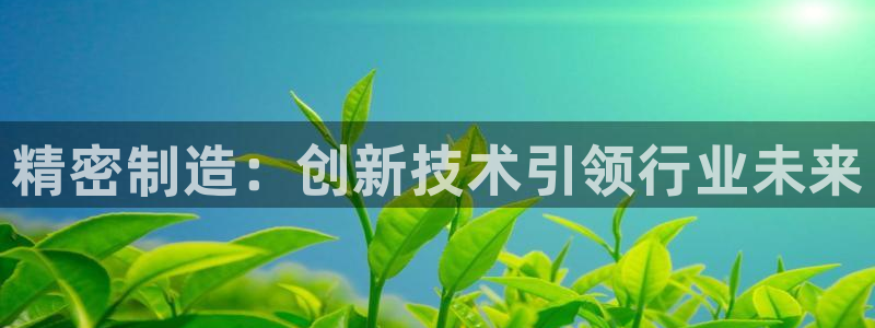 彩神购彩-购彩大厅入口：精密制造：创新技术引领行业未来