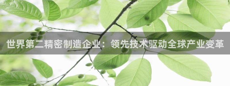彩神v8是真的挣钱吗知乎：世界第二精密制造企业：领先技术驱动全球产业变革