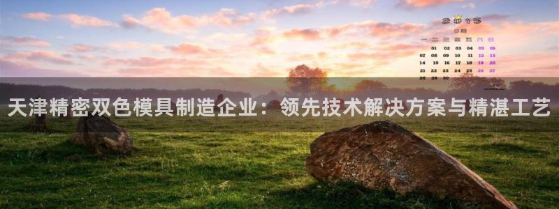彩神是正规平台吗是真的吗：天津精密双色模具制造企业：领先技术解决方案与精湛工艺