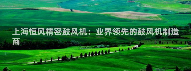 天天彩神welcome：上海恒风精密鼓风机：业界领先的鼓风机制造
商