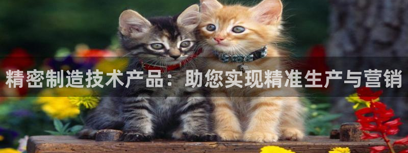 彩神平台：精密制造技术产品：助您实现精准生产与营销