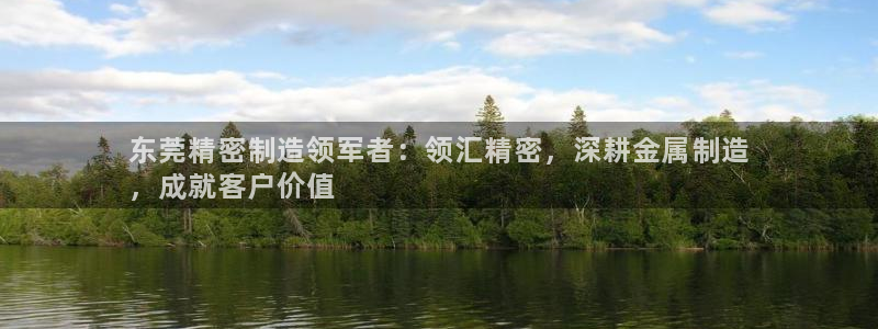 下载彩神乐发V：东莞精密制造领军者：领汇精密，深耕金属制造
，成就客户价值
