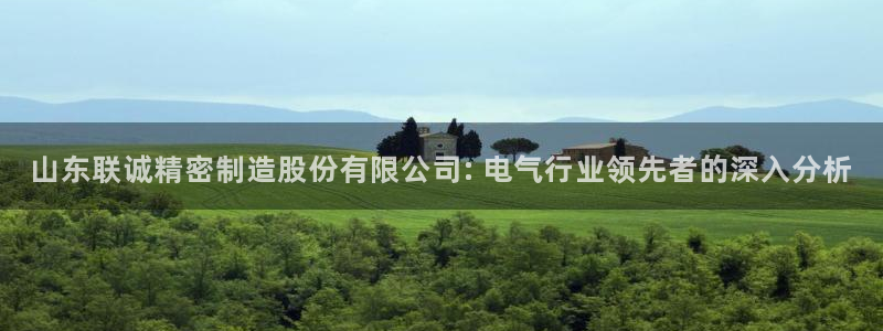 彩神8是正规平台吗：山东联诚精密制造股份有限公司: 电气行业领先者的深入分析
