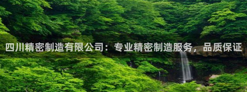 彩神的邀请码是多少：四川精密制造有限公司：专业精密制造服务，品质保证