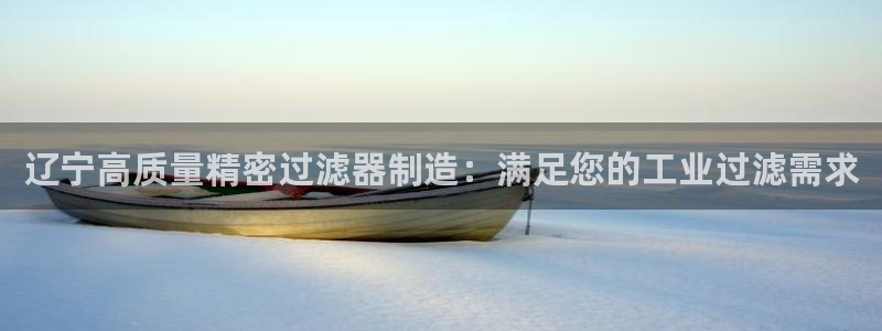 彩神vip购彩大厅下载：辽宁高质量精密过滤器制造：满足您的工业过滤需求