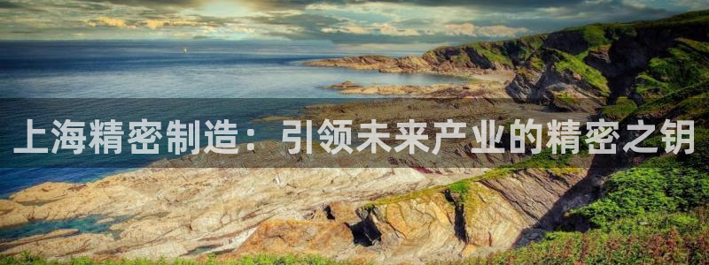 彩神广告有限公司：上海精密制造：引领未来产业的精密之钥