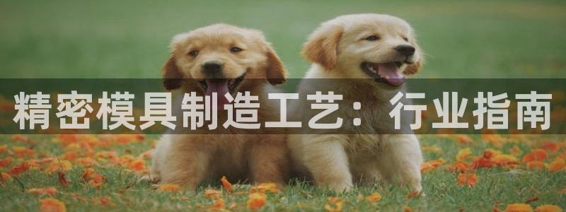 所有彩神购买首页：精密模具制造工艺：行业指南