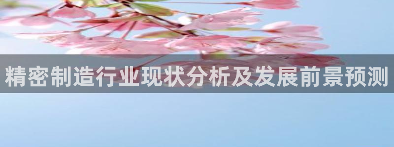 彩神大发黑平台：精密制造行业现状分析及发展前景预测