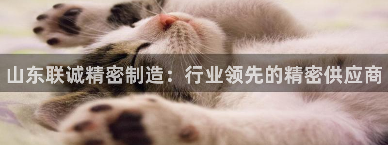 彩神数码科技有限公司：山东联诚精密制造：行业领先的精密供应商