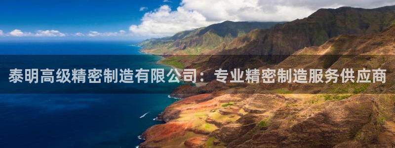 彩神vip购彩大厅下载：泰明高级精密制造有限公司：专业精密制造服务供应商