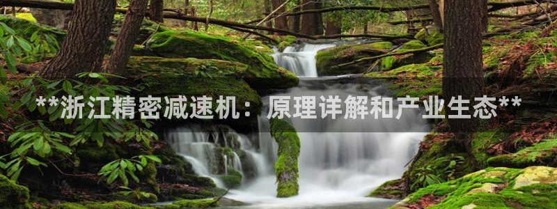 彩神网合法吗：**浙江精密减速机：原理详解和产业生态**