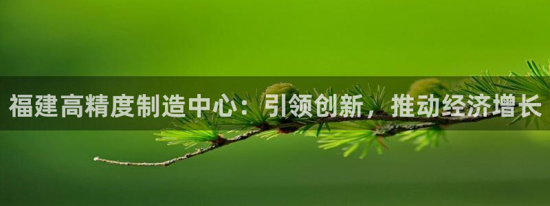 彩神合法吗.是国家认可的吗：福建高精度制造中心：引领创新，推动经济增长