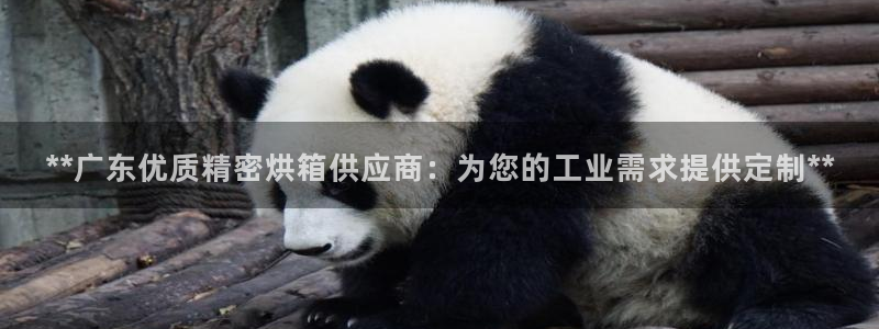 彩神viii官网：**广东优质精密烘箱供应商：为您的工业需求提供定制**