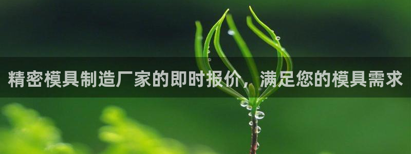 彩神vll趣投彩：精密模具制造厂家的即时报价，满足您的模具需求