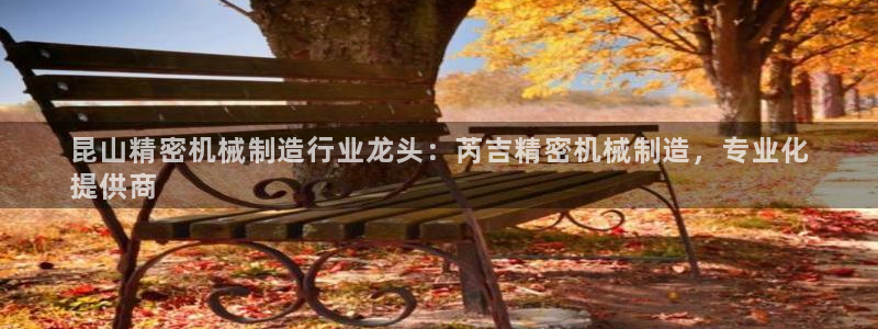 彩神v8手机客户端怎么下载：昆山精密机械制造行业龙头：芮吉精密机械制造，专业化
提供商