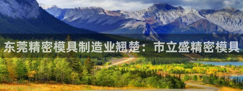新版彩神v8登录不了：东莞精密模具制造业翘楚：市立盛精密模具