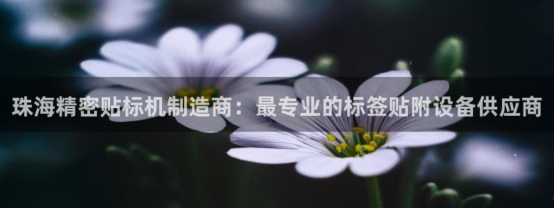新版彩神v8登录不上去：珠海精密贴标机制造商：最专业的标签贴附设备供应商