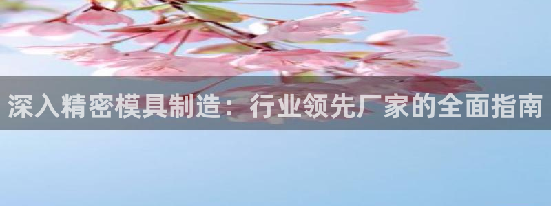 彩神vll趣投彩：深入精密模具制造：行业领先厂家的全面指南