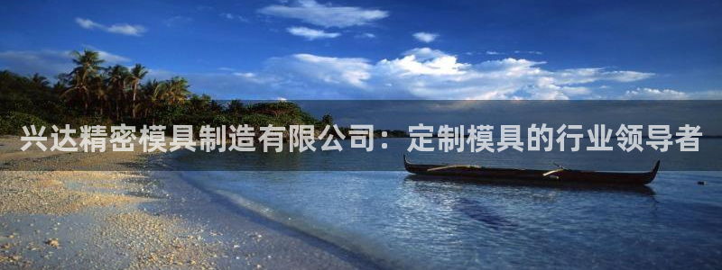彩神8官网版：兴达精密模具制造有限公司：定制模具的行业领导者