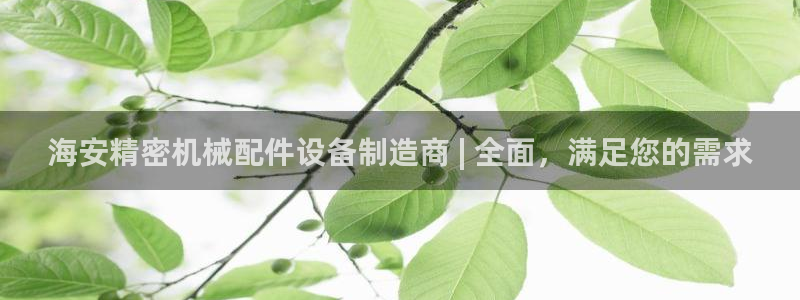 彩神viii官网：海安精密机械配件设备制造商 | 全面，满足您的需求