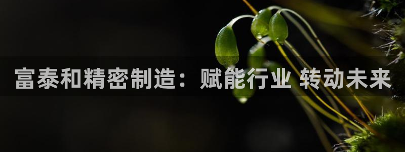 彩神v8下载网址：富泰和精密制造：赋能行业 转动未来