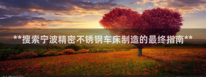 彩神平台可以破解吗：**搜索宁波精密不锈钢车床制造的最终指南**