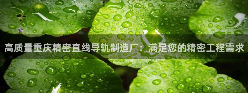 彩神怎么样可以提现：高质量重庆精密直线导轨制造厂：满足您的精密工程需求