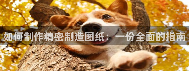 彩神viii是正规平